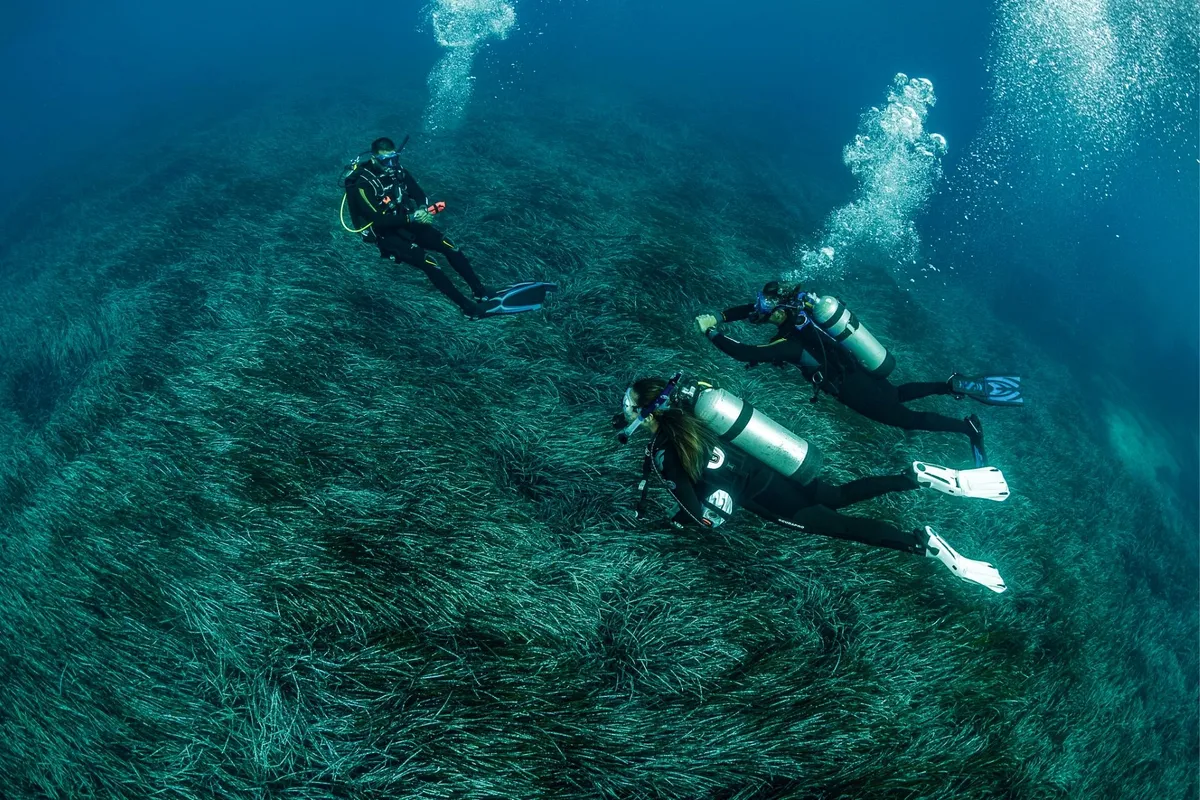Scuba Diving Snorkeling in Chania Slider 4 Chania Blue Adventures Diving chania diving center.webp